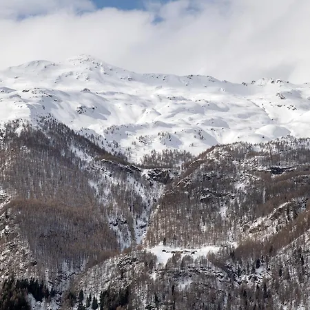Lägenhetshotell Larice Bianco App N6 Campodolcino
